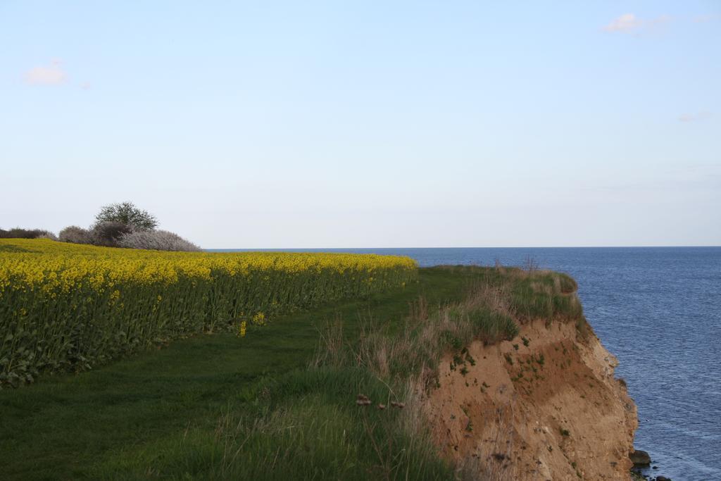 فندق Stevns Klint Strandpension Rødvig المظهر الخارجي الصورة